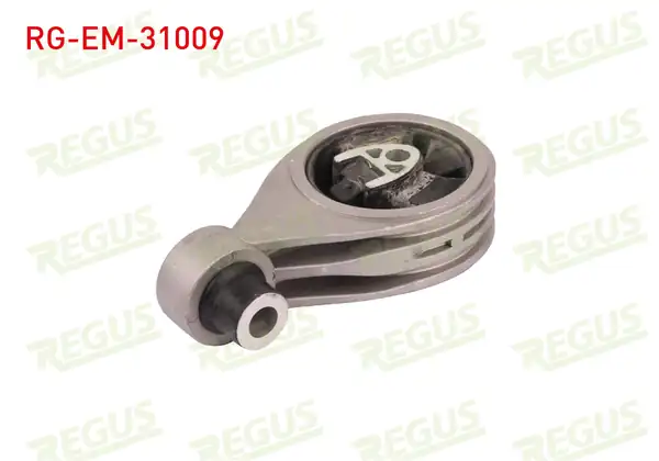REGUS Rg Em 31009 Motor Takozu Nissan Qashqai 2006