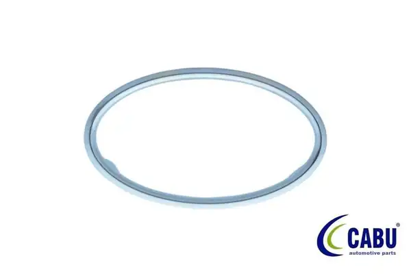 CABU 330811 | Kalorifer Üfleyici Çerçevesi Ford Focus II 04 11 1963807
