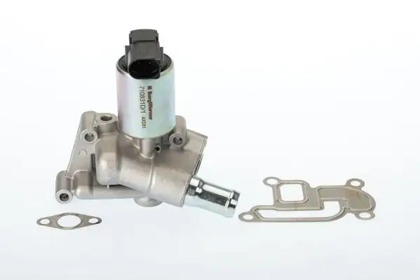 BORGWARNER 710831D | Egr Valfi Opel Astra G H Corsa D Z12xep Z14xep