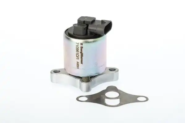 BORGWARNER 710961D | Egr Valfi Opel Astra G Corsa C Vectra B C Z14xe Z16xe