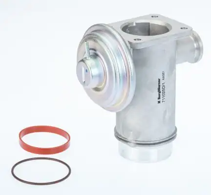 BORGWARNER 711025D | Egr Valfi E 60 65 70 71 87 90 92 93 M 47 N2 M 57 N2