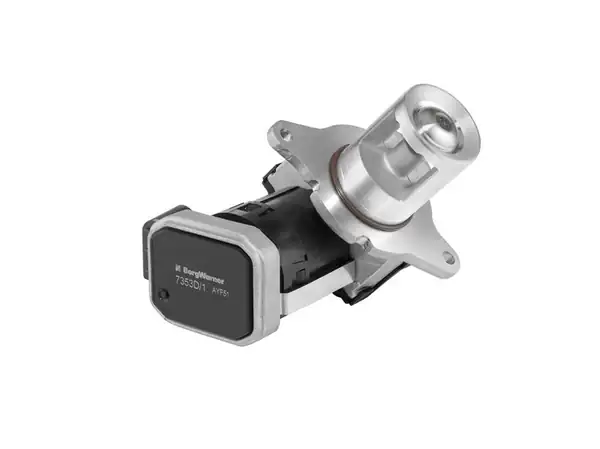 BORGWARNER 7353D | Egr Valfi 646 647 648 W211 639