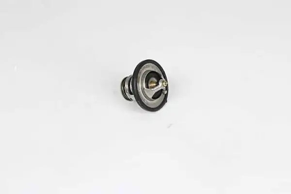 BSG 40-126-006 | Termostat Accent Adm / Accent Era / Elantra / Sonata / i30 / Ix35 Benzin 2003 -