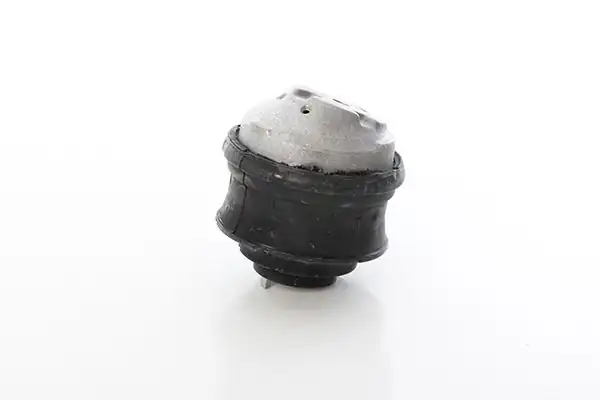 BSG 60-700-253 | Motor Kulağı  203-209 646-642 2003-2010