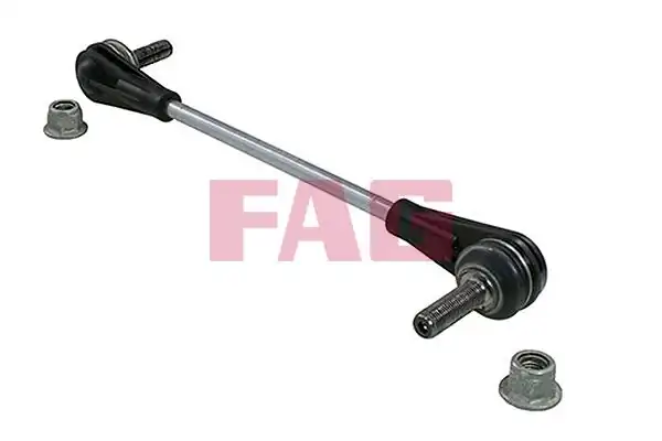 FAG 818062810 | Viraj Askı Rotu Ön Focus IV Bm 18