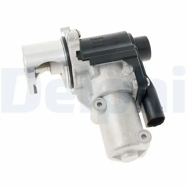 DELPHI EG10645-12B1 | EGR Valfi Transporter T6 T7 12 > 19 2.0 TDI Cfca
