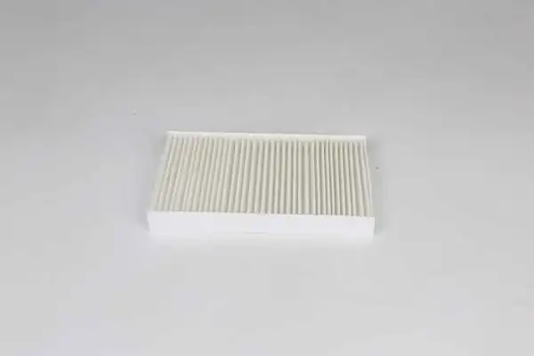 BSG 75-145-004 | Polen Filtresi Clio / Kango / Symbol Bm 98 -