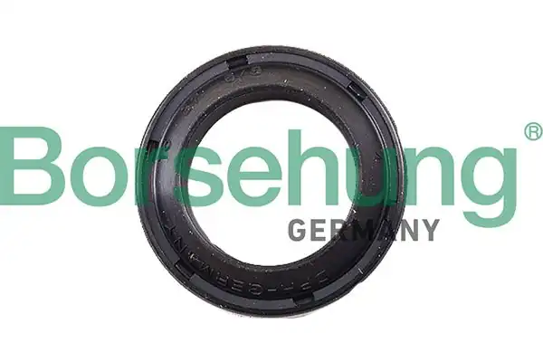 BORSEHUNG B17833 | Şanzıman Keçesi 18 27x5 Elr244 082