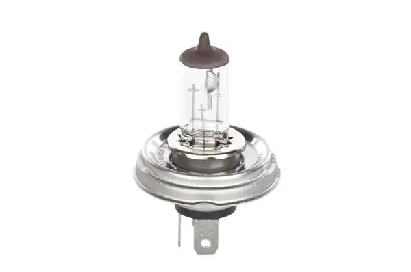 BOSCH 1987301021 | Ampül 12V R2 Halogen P45t Pure Light | 20 Adet