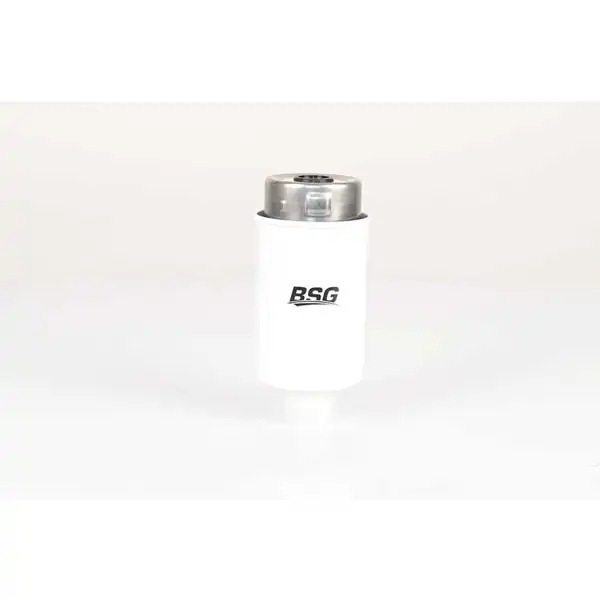 BSG 15-130-009 | Yakıt Filtresi Land Rover Range Rover Sport Discovery III IV 4 4 D 4 4 D V8 10 18