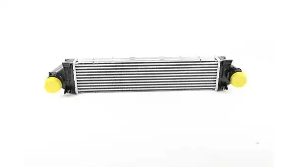 BSG 15-535-020 | Turbo Radyatörü Land Rover Range Rover Evoque 2 2 D 11 18