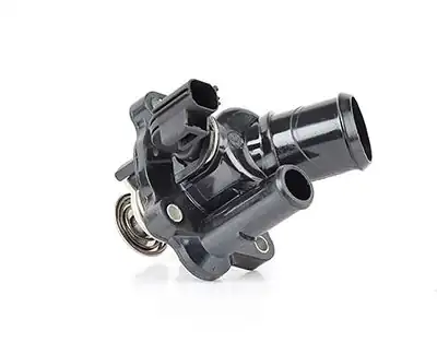 BSG 30-126-016 | Termostat Gövdesi Mondeo 2 0 Zetec He 01