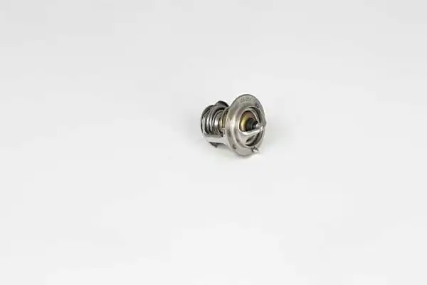 BSG 40-126-001 | Termostat Atoz / Getz / i10 / Picanto Benzin 1997-2005
