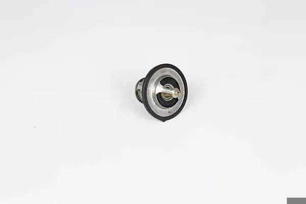 BSG 40-126-009 | Termostat Accent Adm/Era/Getz/Elantra/i30/Santafe/Tucson/Cerato/Ceed/Rio Dizel 2003-