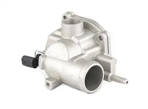 BSG 60-125-003 | Termostat Sprt 208 308 213 313 413cdi M611 646 612 00 09