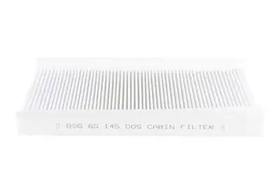 BSG 65-145-005 | Polen Filtresi Corsa C Vectra C Bm 02-12