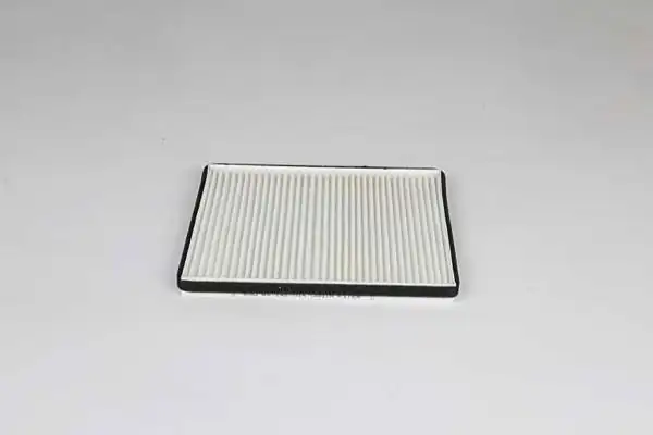 BSG 65-145-014 | Polen Filtresi Agila A Z10xe Z12xe 00-04