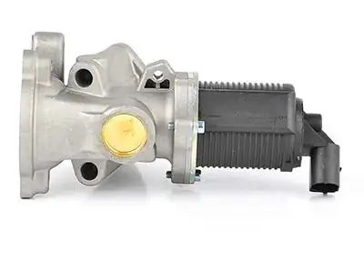 BSG 65-836-007 | EGR Valfi Corsa C Corsa D Z13dt Z13dtj 04 -