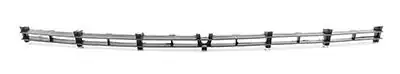 BSG 65-927-002 | Tampon Izgarası Alt Ön Astra G Bm 98 07