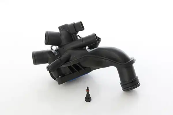 BSG 70-126-007 | Termostat Komple 207 208 308 1 6 09
