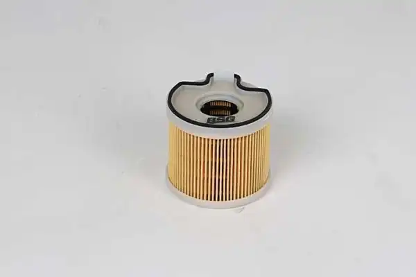 BSG 70-130-007 | Yakıt Filtresi 206 / 307 / 406 / 806 / Partner 2.0 HDI 99 -