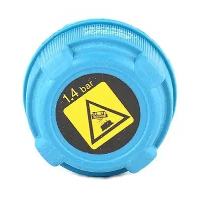 BSG 70-551-005 | Yedek Su Depo Kapağı Boxer-3 / Jumper-3 2,2 HDI 06 -