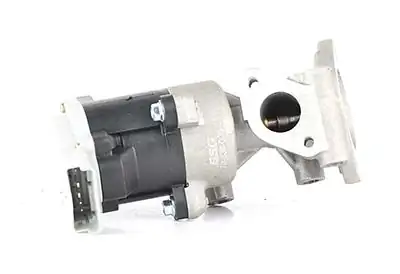 BSG 70-836-005 | EGR Valfi 407 / 607 2.7 HDI 02 -