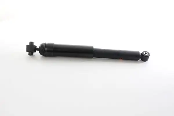 BSG 75-300-024 | Amortisör Arka Lodgy Dokker Bm 12