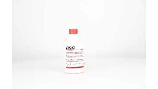 BSG 99-994-005 | Antifriz Bm Bm Bm