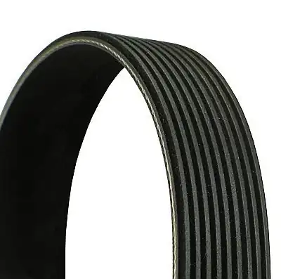 Continental Ctam 9pk2290 Kanallı Kayış Mercedes Benz 1506603