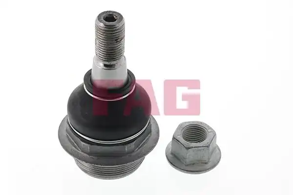 FAG 825033210 | Rotil Alt Sol Master III Movano B Bm 09