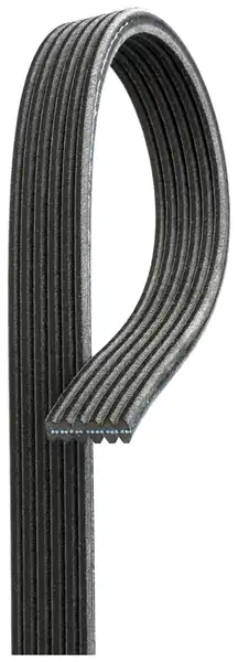 Gates 6dpk1215 V Kayışı VW Transporter T5 1 9 TDI 03 09 Caddy III 2 0 TDI 07