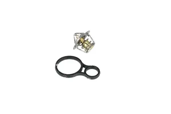 NRF 725094 | Mini Cooper R50-R53 Termostat 11537596787