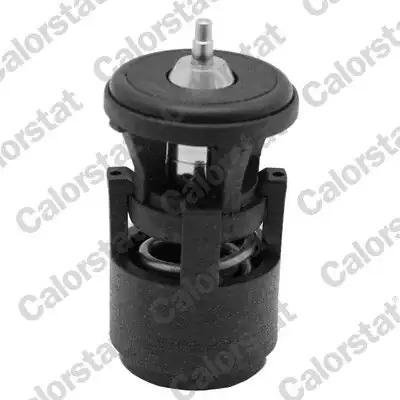 VERNET TH6274.87J | Termostat VW Polo/Bora/Caddy II-III/Golf III-V/Seat/Skoda/Audi A2 87°C