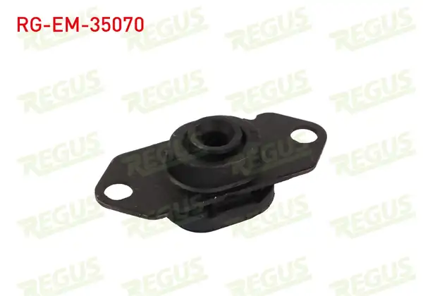 REGUS Rg Em 35070 Motor Takozu Ön Sol Renault Clio III Br0 1 Cr0 1 1 5 dCi 2005 2012