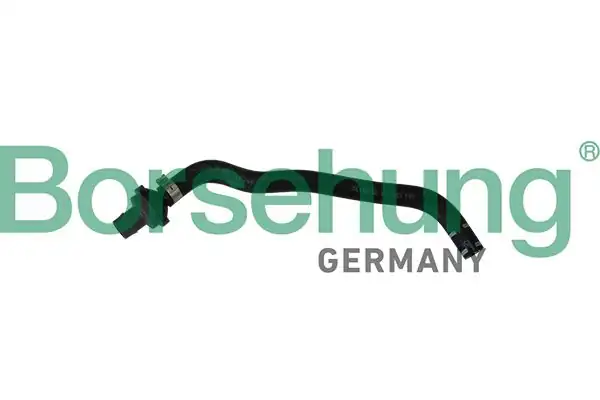 BORSEHUNG B11970 | Vakum Borusu Çek Valfi 1 8 2 0 TFSI