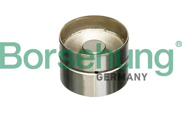 BORSEHUNG B18837 | Subap İticisi İna 420 0022 10 Tek Yaylı Tip T4 LT Caddy Crafter Febi 08064