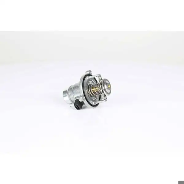 BSG 15-125-005 | Termostat 2F87 M2-3F80 M3-4F82 M4-4F83 M4-E60-E61-F07-F10-F11-5F90 M5-E63-E64-F06-6F12-F13-F01-F02-X5