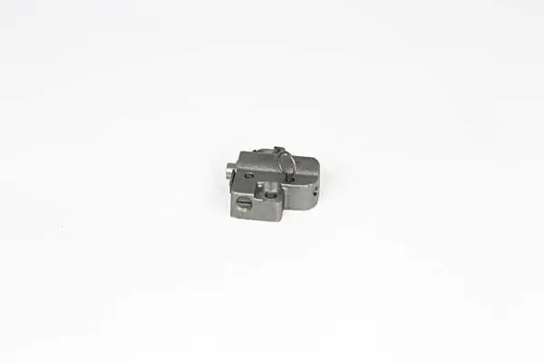 BSG 30-109-028 | Eksantrik Zincir Gergisi Mondeo / Focus / C-Max 2.0 Duratec He 01 -