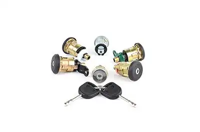 BSG 30-856-005 | Kilit Şifre Takımı Transit M12 M15 Bm 93 00