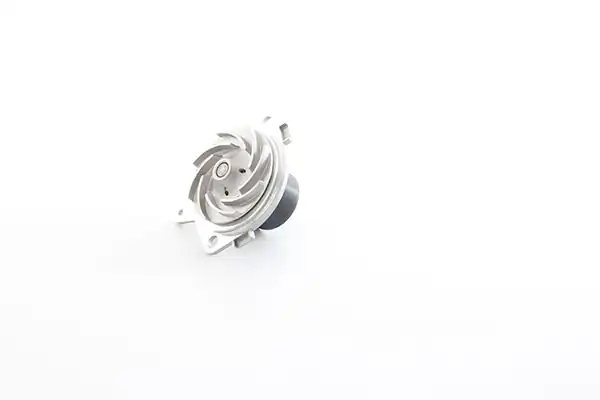 BSG 65-500-018 | Devirdaim Vectra C Zafira B Astra H Z19dt Z19dtl 06-13