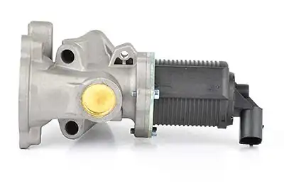 BSG 65-836-008 | EGR Valfi Astra H Corsa D Doblo Palio Albea Punto Z13dth 04 -