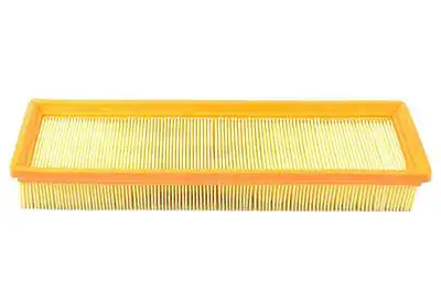 BSG 70-135-004 | Hava Filtresi 206 206 307 C4 1 4 16v Bnz 03