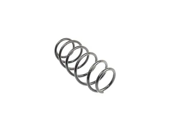 BSG 70-305-007 | Helezon Yayı Arka 207 B M 07