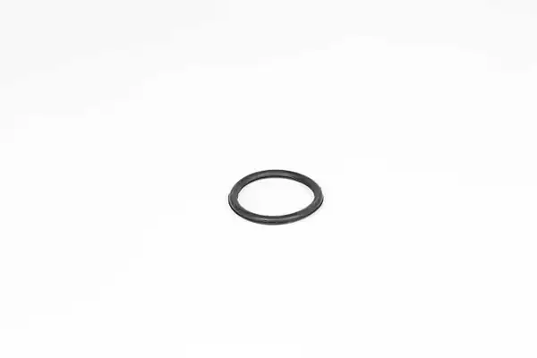 BSG 75-116-008 | Termostat Contası Kangoo Megane Clio Renault 19 1 4 00