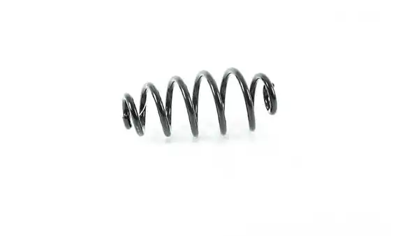 BSG 90-305-007 | Helezon Yayı Arka A4 Bm 00 08