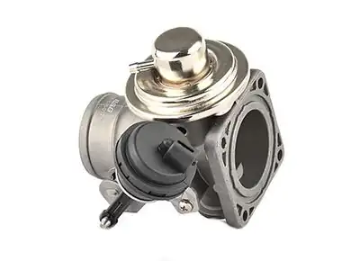 BSG 90-836-015 | Egr Valfi LT Anj Ahd Avr 2 5 TDI 96 06