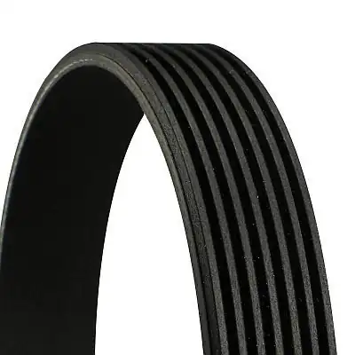 Continental Ctam 7pk1153 Kanallı V Kayışı Toyota Land Cruiser 3 0 D 4d Nissan Qashqai 1 6 07 13