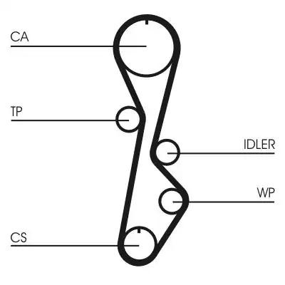 Continental Ctam Ct785 Kayış Triger 104 254 Mazda 626 88 91 1 6 F6