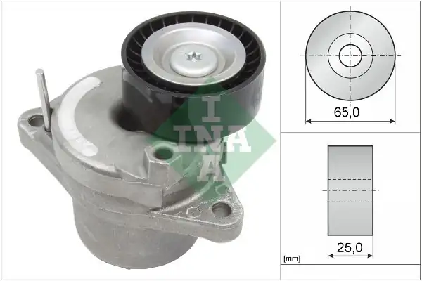 İna 534065810 V Kayış Gergisi Komple Peugeot 308 508 3008 5008 Expert Traveller 2 0 Hdi 09